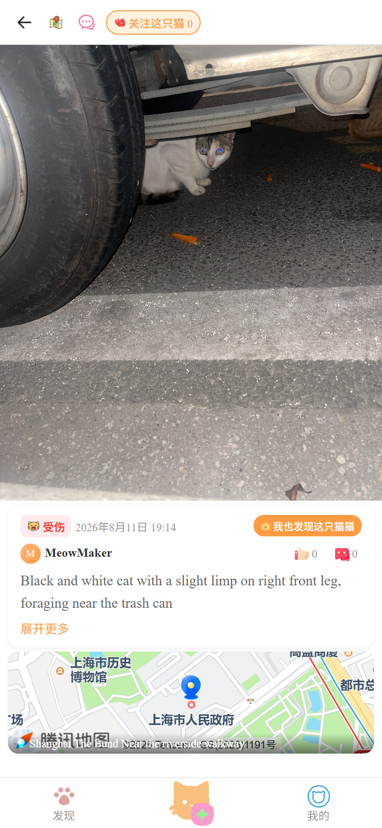 猫猫详情页