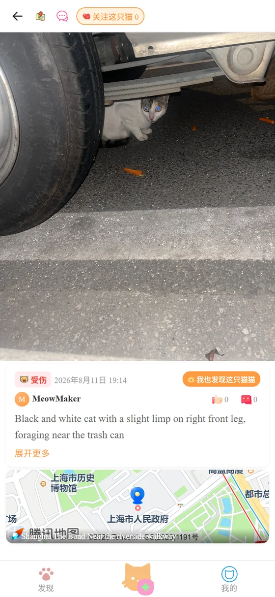 猫猫详情页
